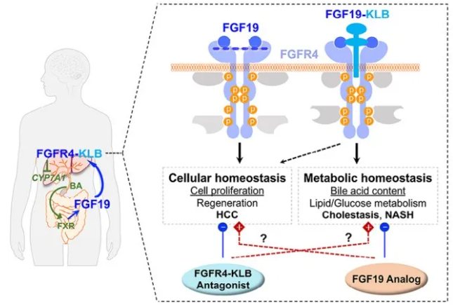 正在上传... image.png