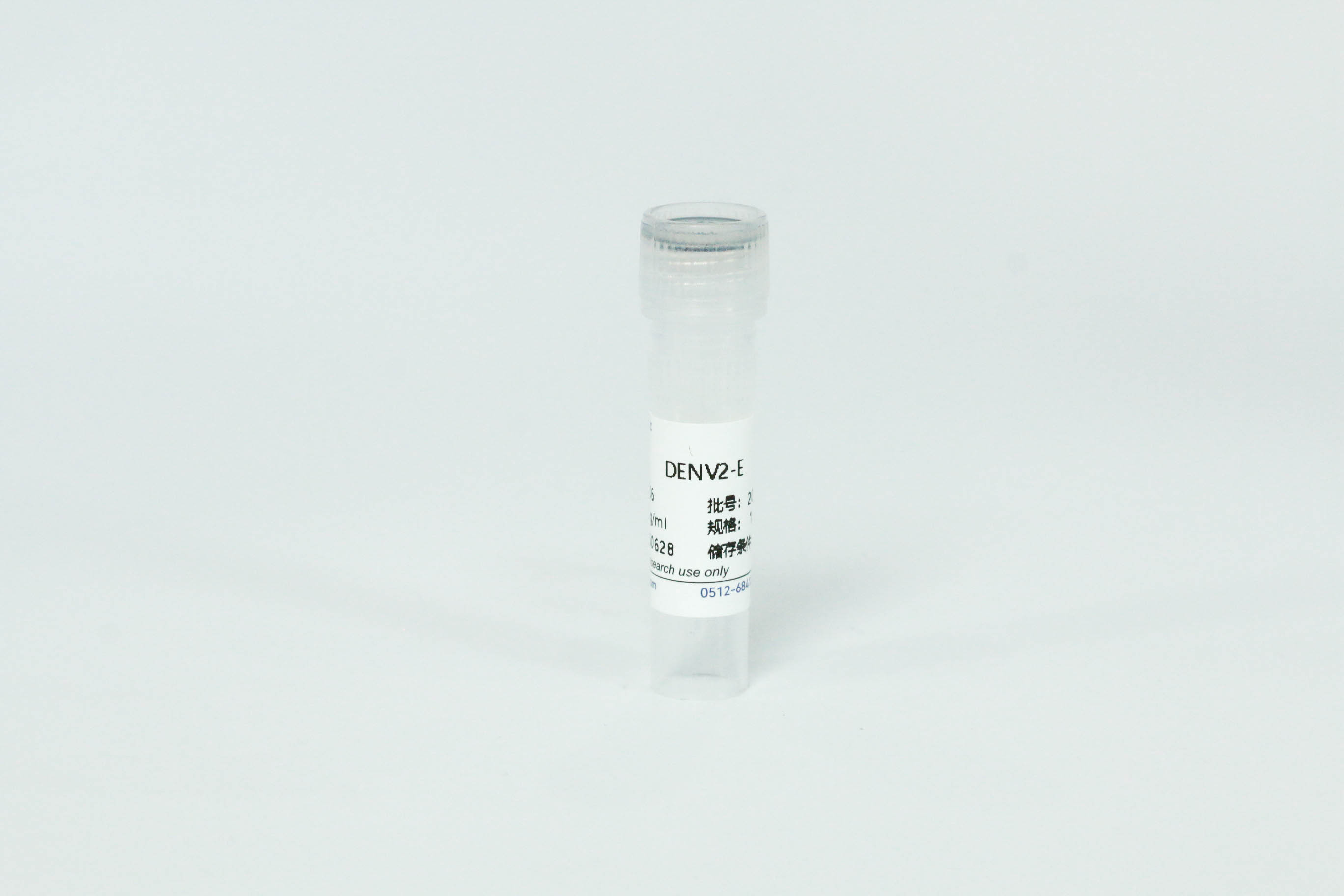 登革病毒2 型E蛋白