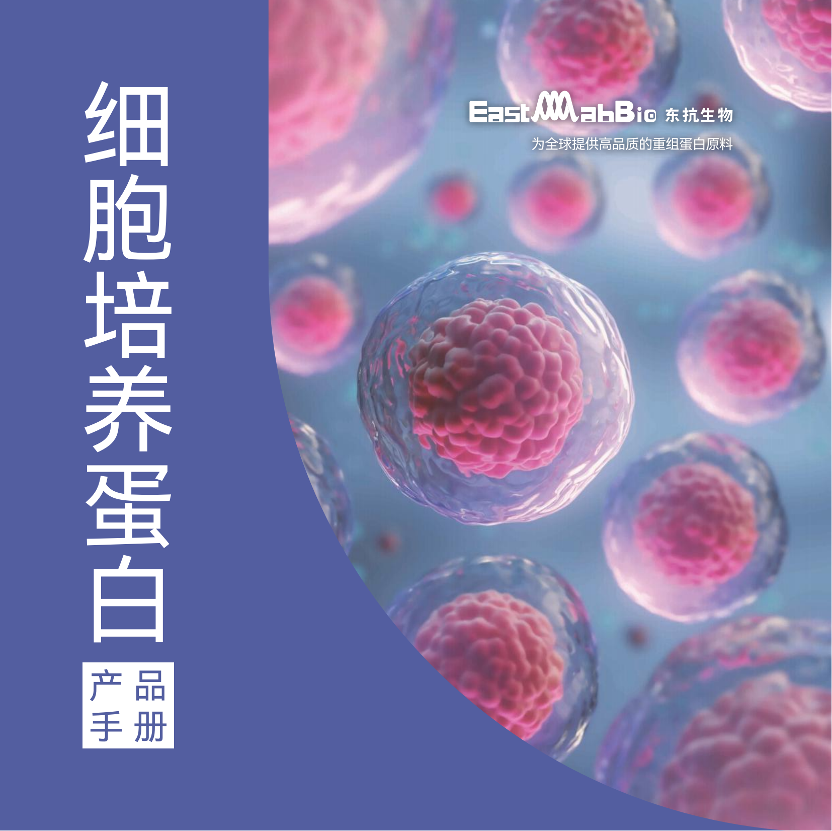 细胞因子样册20241106