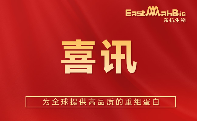 喜讯丨东抗生物获得美国DMF备案产品数量已超20款！