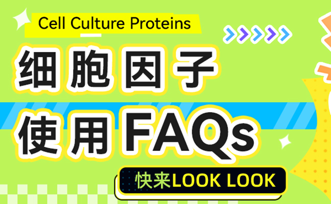 细胞因子使用，你是否有很多问号？高频Q&A都在这里
