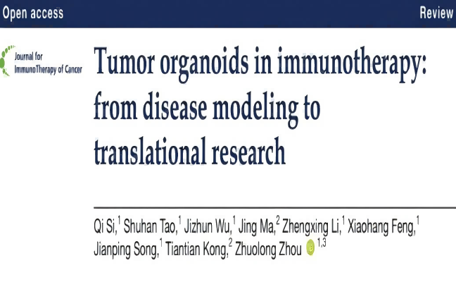 一文读懂肿瘤类器官：从疾病建模到转化研究的关键平台