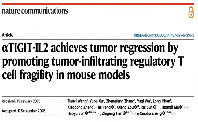 Nature communications|靶向TIGIT的IL-2新策略：重编程Treg，激活抗肿瘤免疫