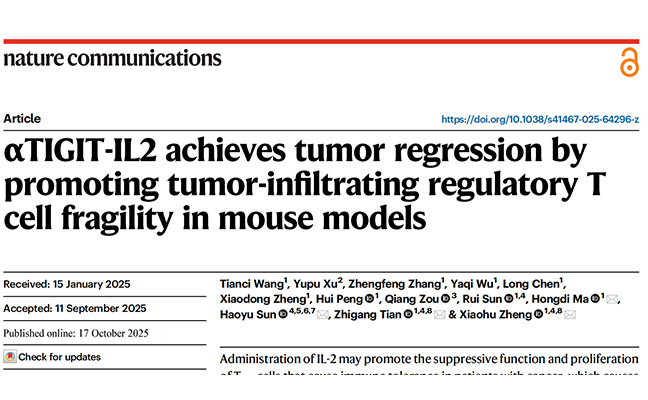 Nature communications|靶向TIGIT的IL-2新策略：重编程Treg，激活抗肿瘤免疫