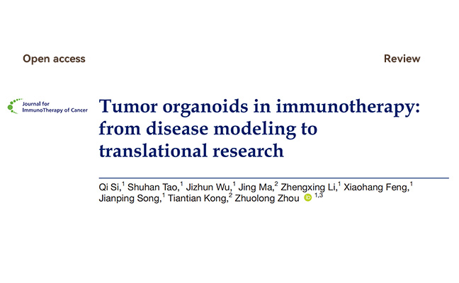 一文读懂肿瘤类器官：从疾病建模到转化研究的关键平台