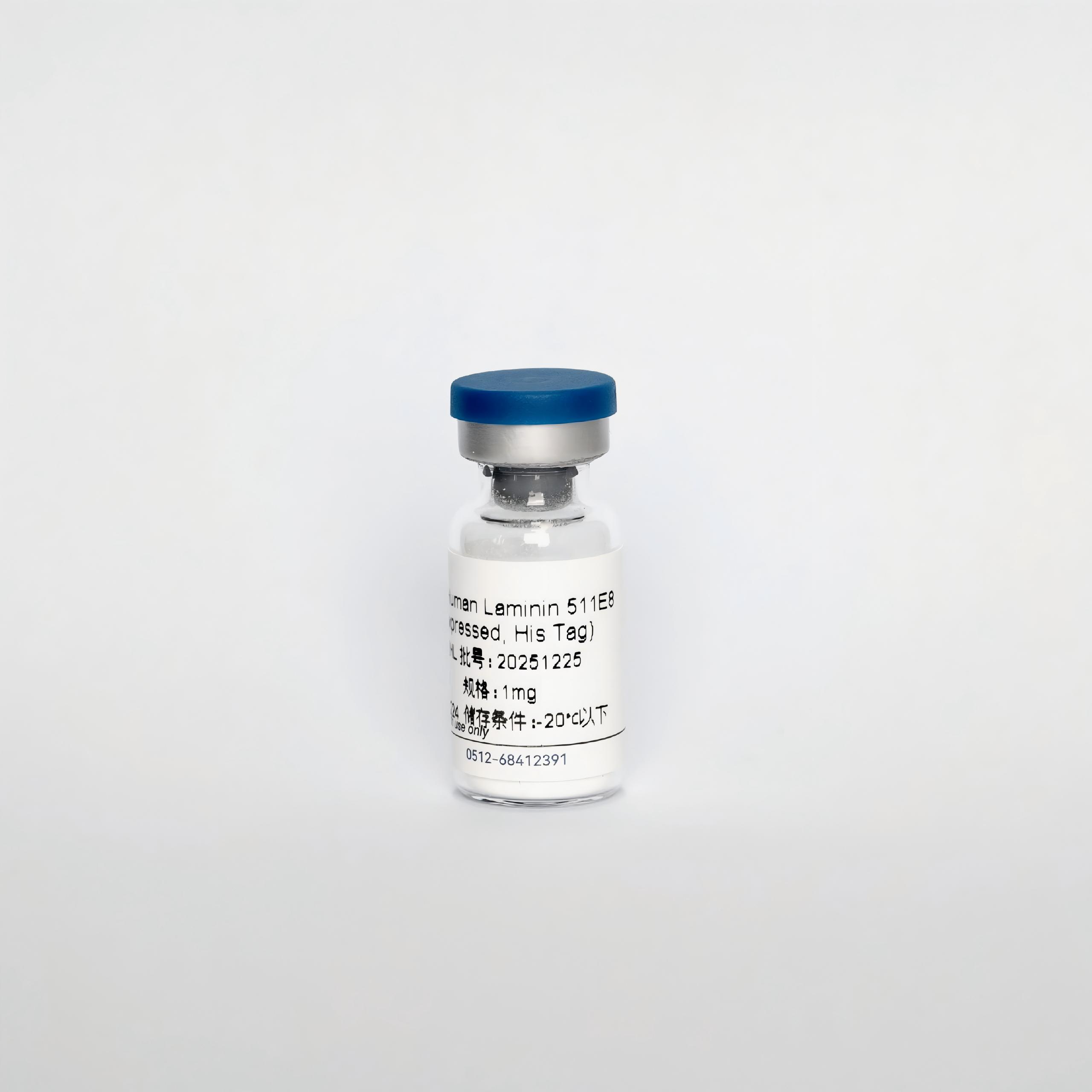 Y13242H Recombinant Human Laminin511 E8