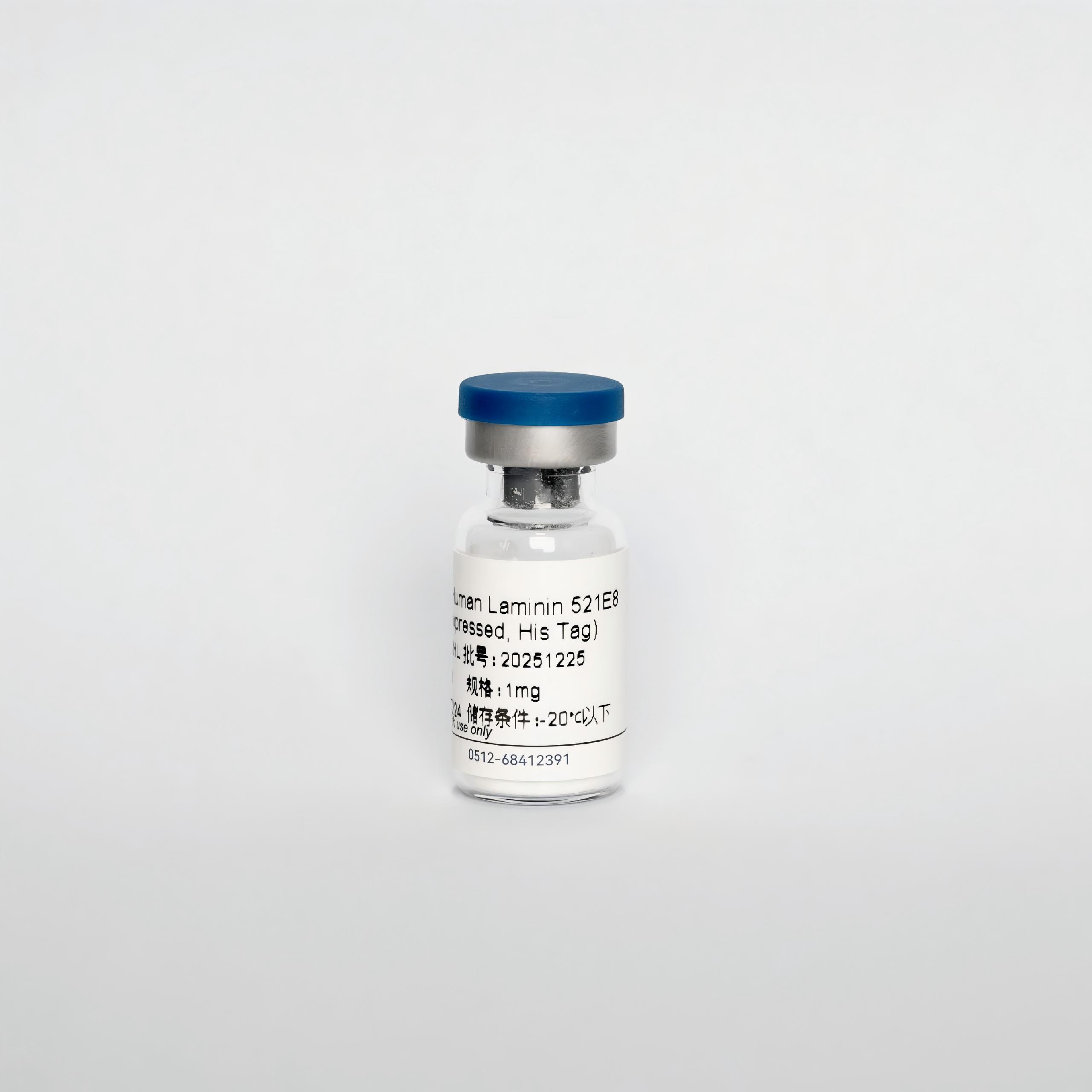 Y13342H Recombinant Human Laminin521 E8