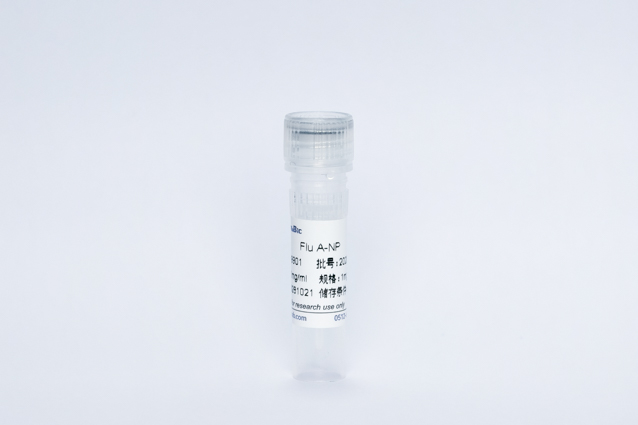 甲型流感N抗原