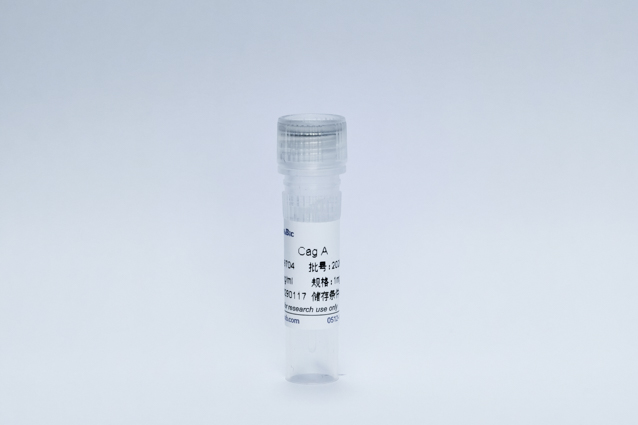 细胞毒素（Cag A）抗原