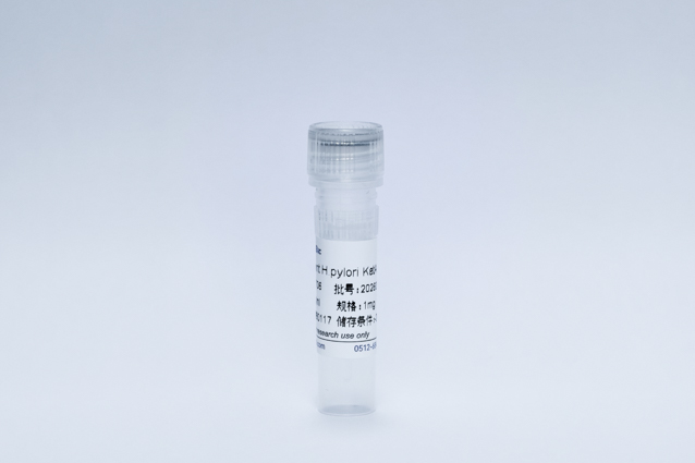 幽门螺旋杆菌抗原