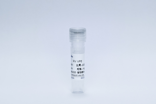 轮状病毒VP6抗原