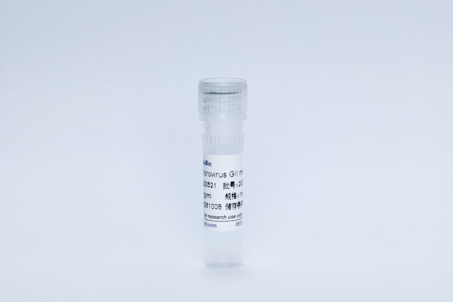 诺如病毒2型单抗