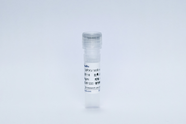 猴痘病毒M1R单抗