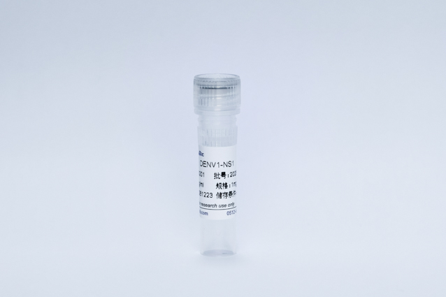 登革病毒1型NS1蛋白