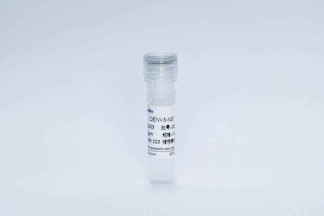 登革病毒3型NS1蛋白