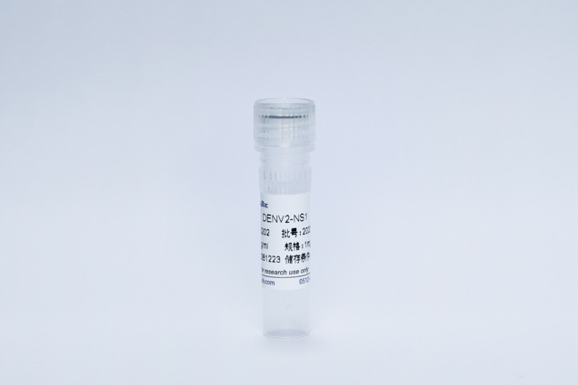 登革病毒2型NS1蛋白