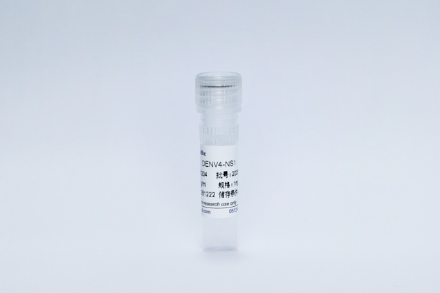 登革病毒4型NS1蛋白