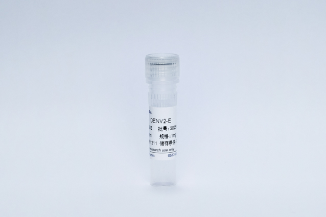 登革病毒2型E蛋白