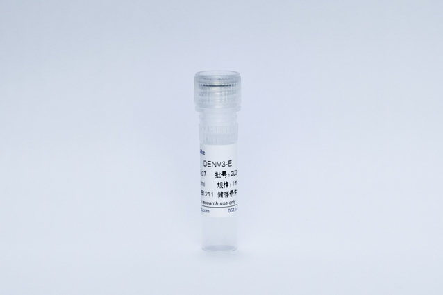 登革病毒3型E蛋白