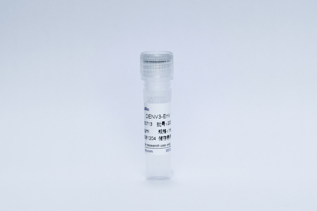 登革病毒3型E蛋白