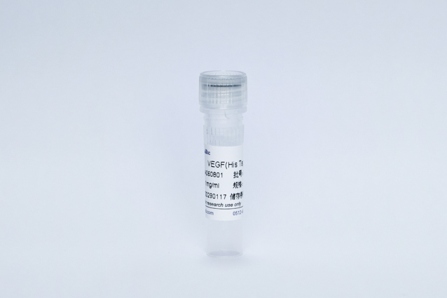 VEGF抗原