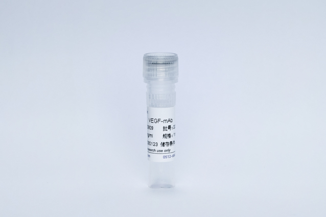VEGF单抗