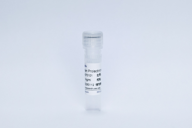 PRL抗原