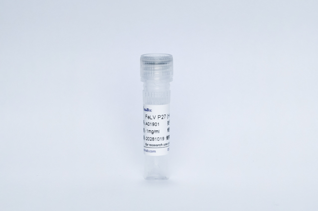 猫白血病病毒 FeLV P27蛋白