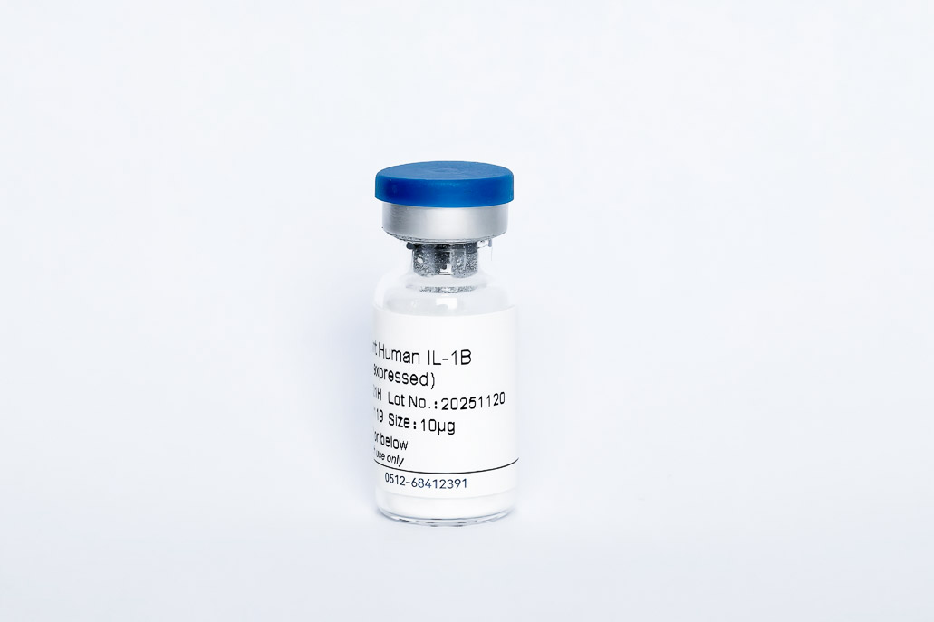 Y04921H Recombinant Human IL-1B