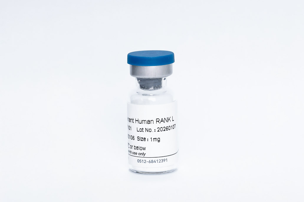Recombinant Human RANK L