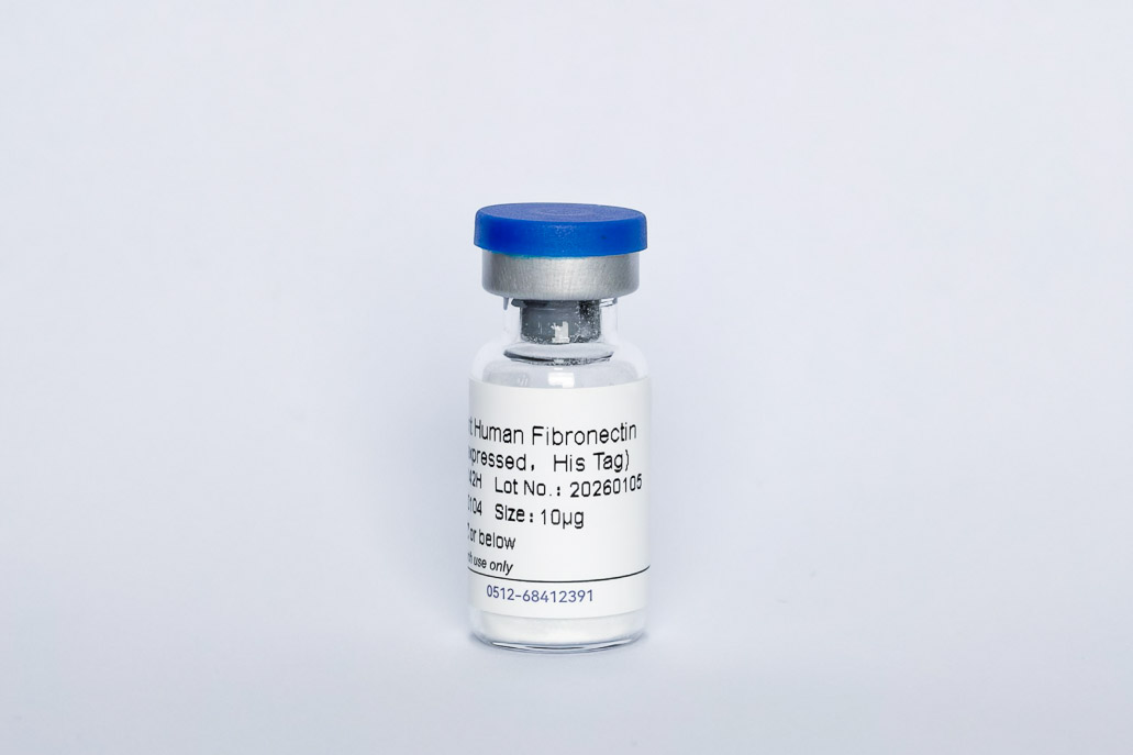 Y13142H Recombinant Human Fibronectin
