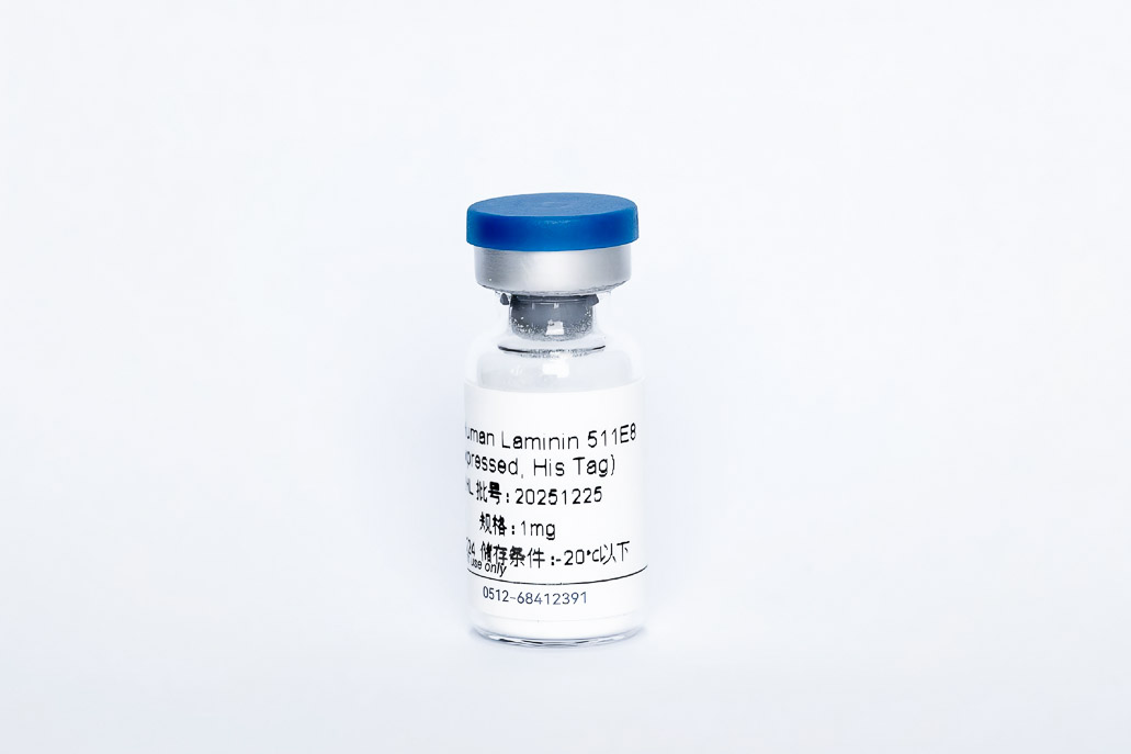 Y13242HL Recombinant Human Laminin511 E8