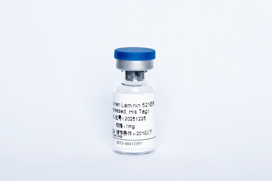 Y13342HL Recombinant Human Laminin521 E8