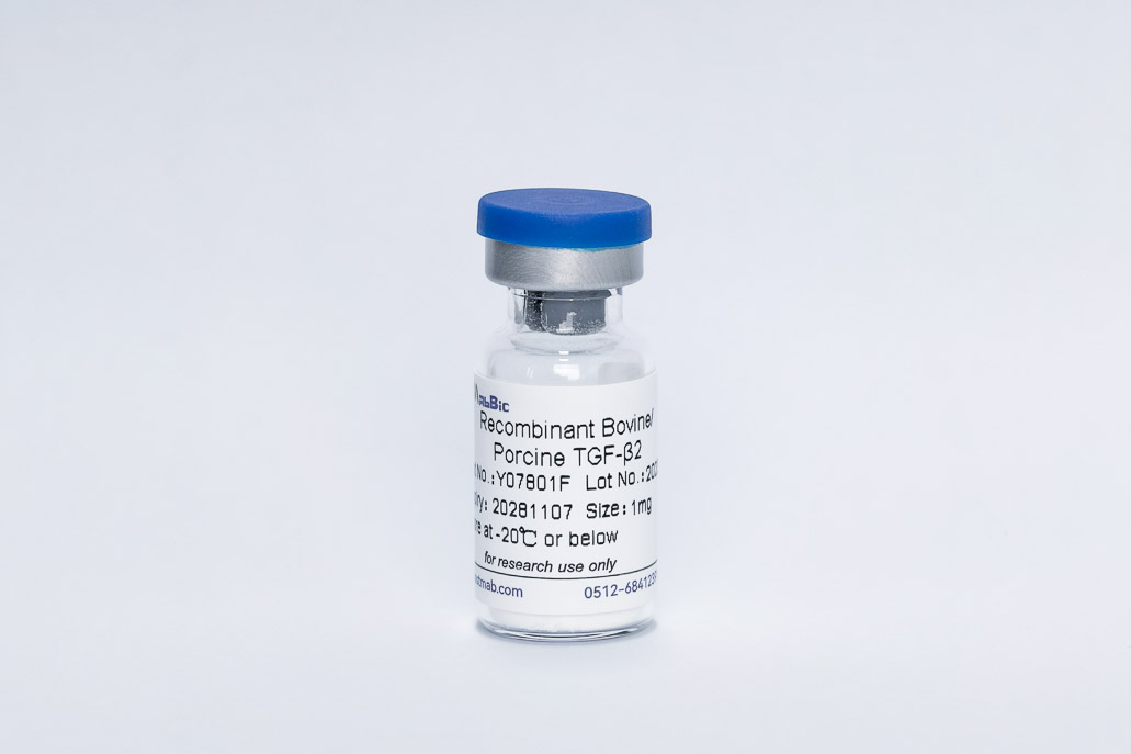 Recombinant Bovine/Porcine TGF-&beta;2