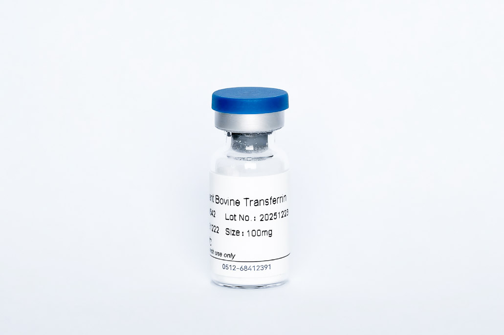 Y04542 Recombinant Bovine Transferrin (HOLO)