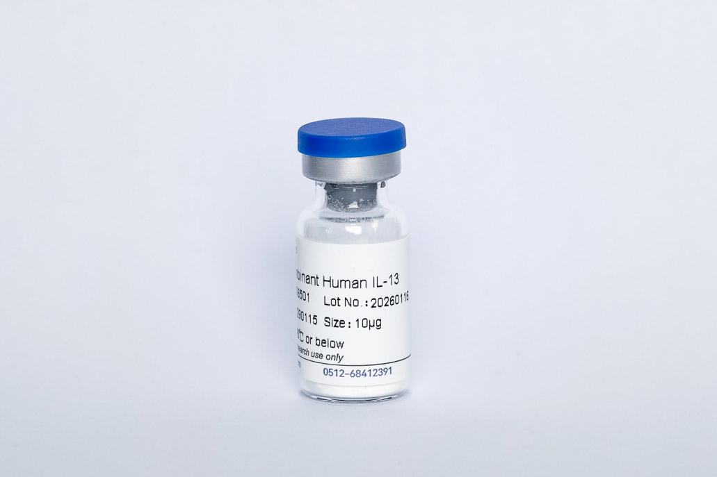 Y06501 Recombinant Human IL-13