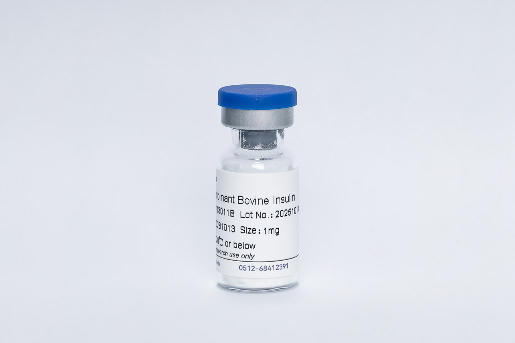 Recombinant Bovine Insulin
