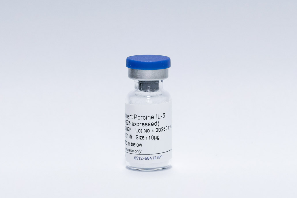 Recombinant Porcine IL-6