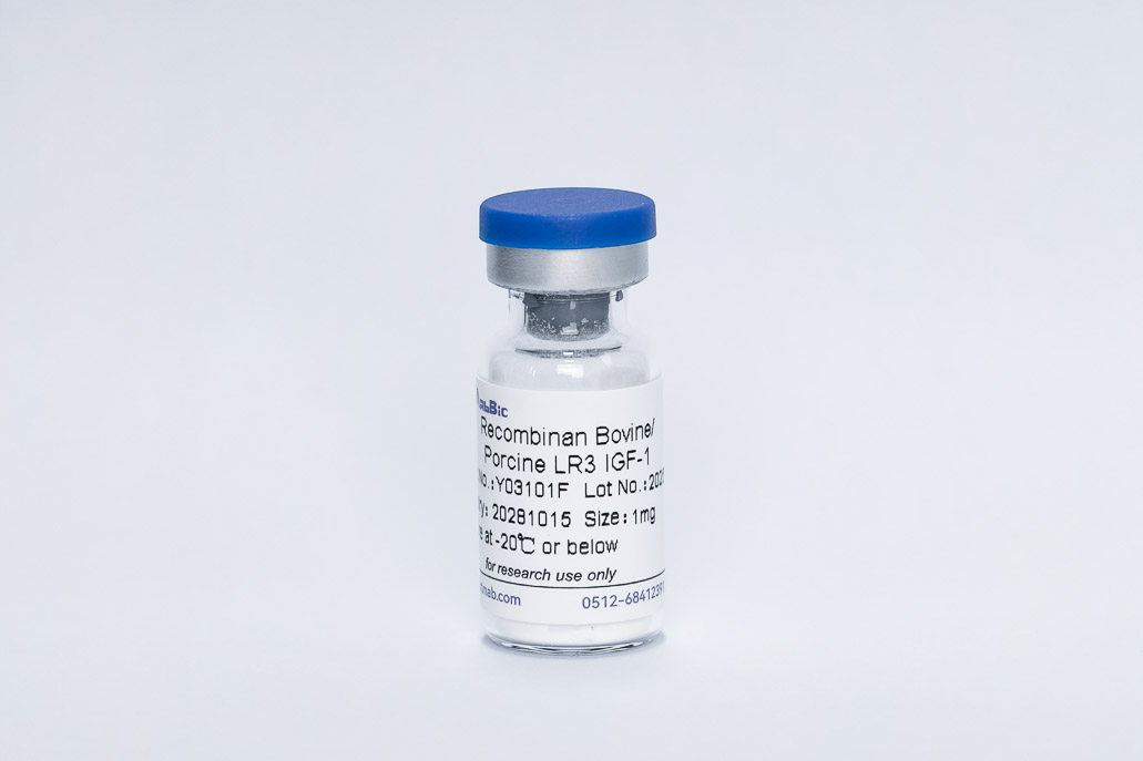 Recombinant Bovine/Porcine LR3 IGF-1