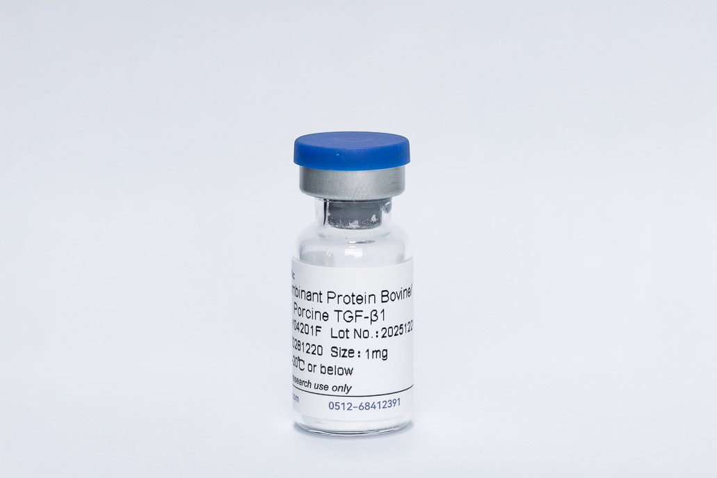 Recombinant Bovine/Porcine TGF-&beta;1