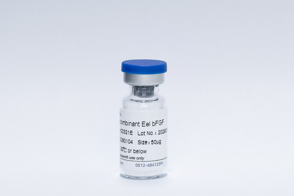 Y00321E Recombinant Eel bFGF