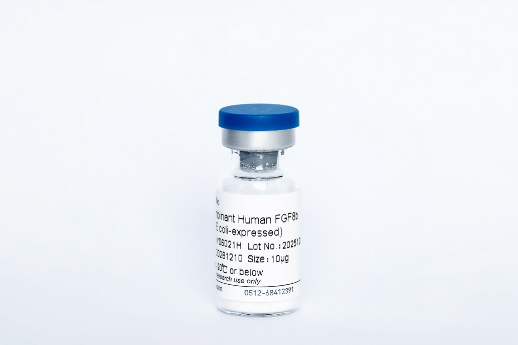 Y06021H Recombinant Human FGF-8b