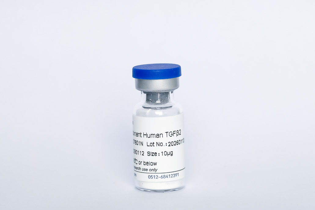 Y07801N Recombinant Human TGF-&beta;2