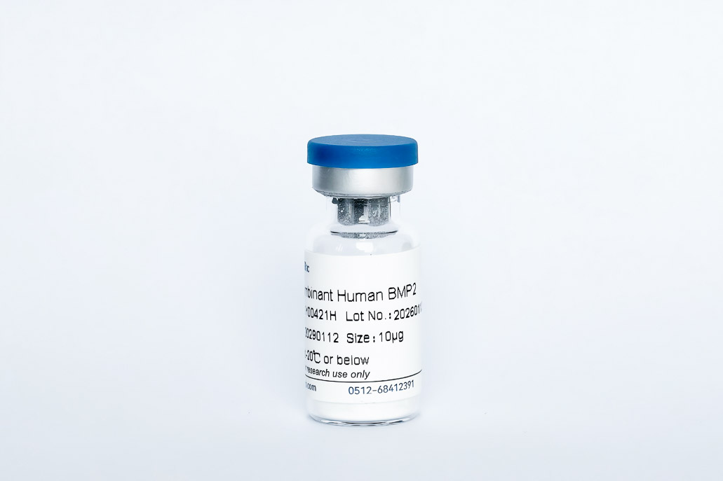 Y00421H Recombinant Human BMP-2