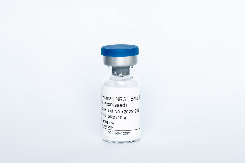 Y01621H Recombinant Human NRG1-&beta;1