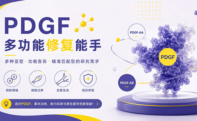 PDGF系列产品挑选指南：从五大异构体中精准选型