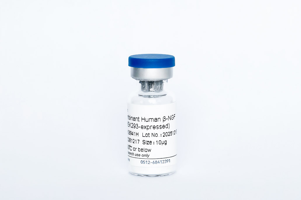 Y06941H  Recombinant Human &beta;-NGF