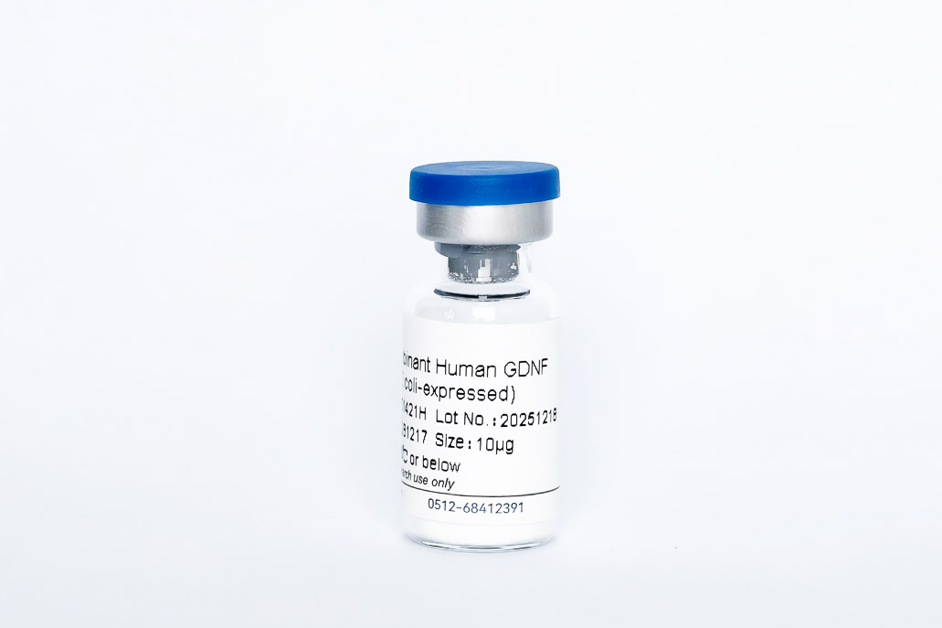 Y01421H  Recombinant Human GDNF
