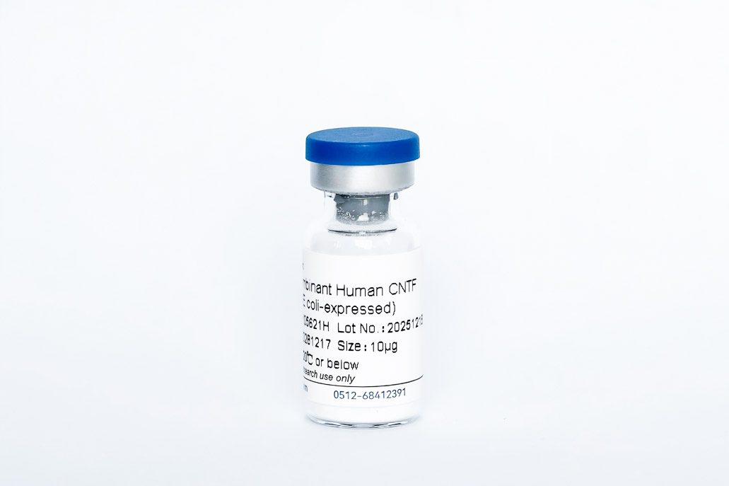 Y05621H Recombinant Human CNTF