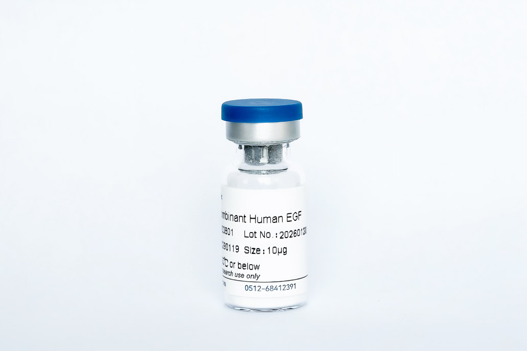 Y00801 Recombinant Human EGF